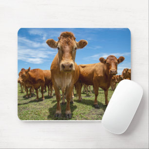 Farms Brown Cow Group Mouse Pad