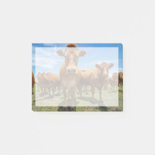 Farms Brown Cow Group Post-it Notes