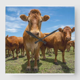 Farms Brown Cow Group Square Wall Clock