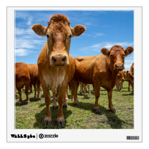 Farms Brown Cow Group Wall Decal