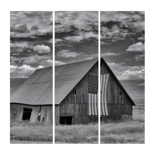 Farms  BW American Flag Barn Scene Triptych