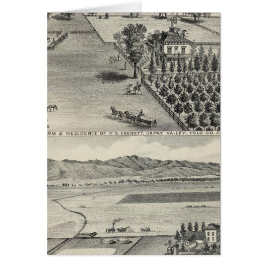 Farms, Capay Valley, Madison Cards (Front)