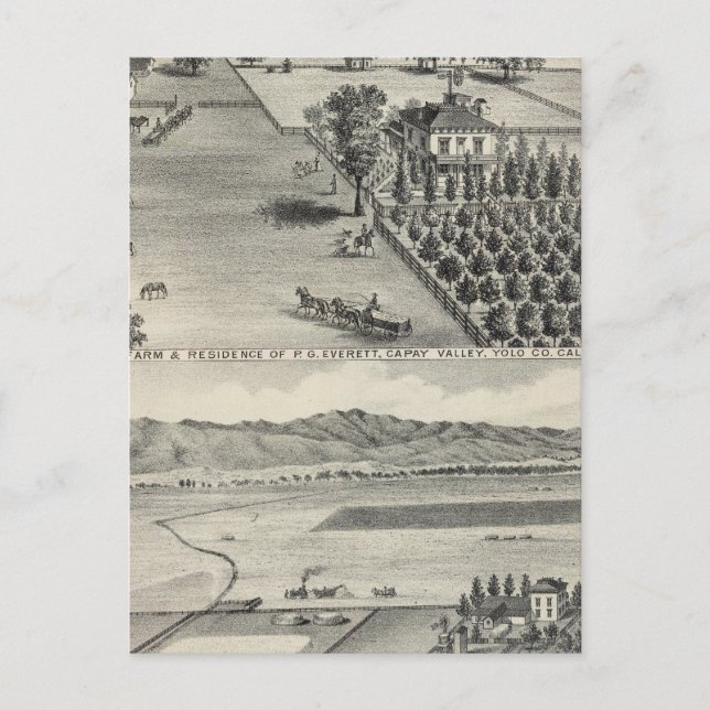 Farms, Capay Valley, Madison Postcard (Front)