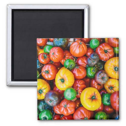 Farms  Colorful Tomato Harvest Magnet