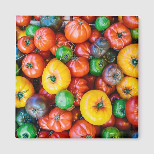 Farms  Colorful Tomato Harvest Magnet