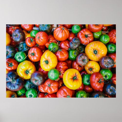 Farms  Colorful Tomato Harvest Poster