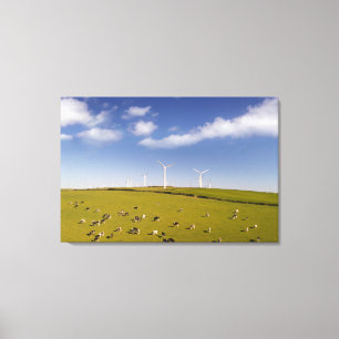 Farms Cows Near Windmill Farm Canvas Print