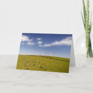 Farms Cows Near Windmill Farm Card