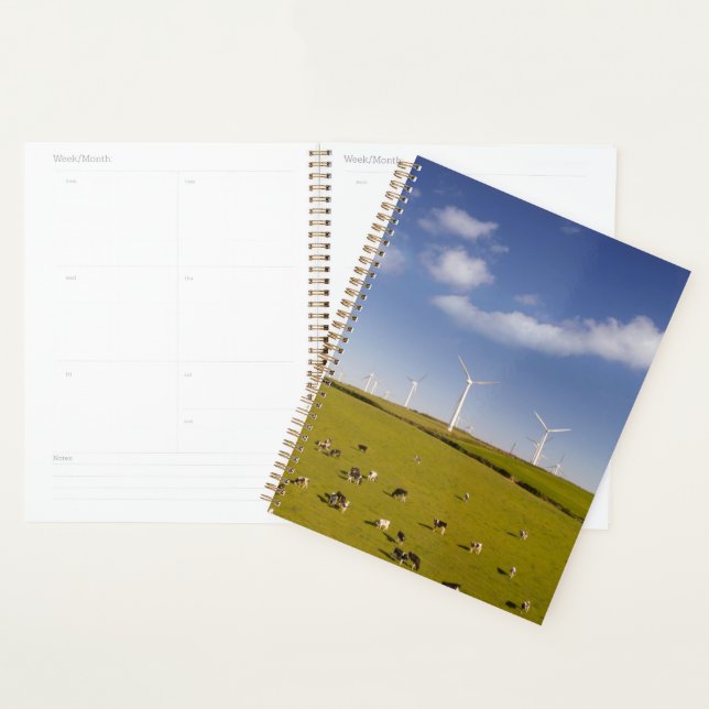 Farms | Cows Near Windmill Farm Planner (Display)
