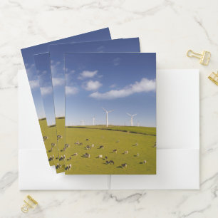 Farms Cows Near Windmill Farm Pocket Folder