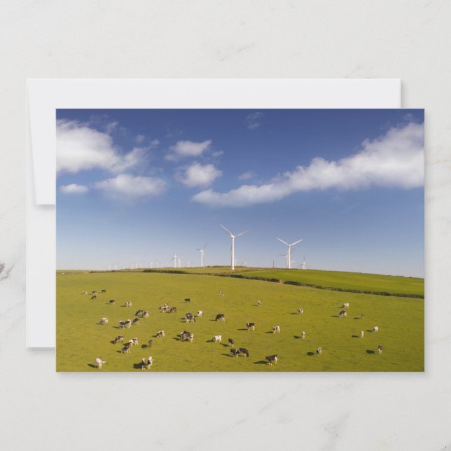 Farms | Cows Near Windmill Farm Thank You Card (Front)