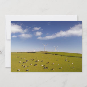 Farms   Cows Near Windmill Farm Thank You Card