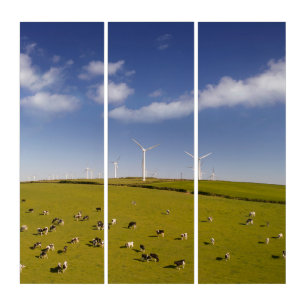 Farms Cows Near Windmill Farm Triptych