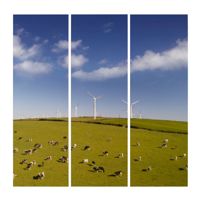 Farms | Cows Near Windmill Farm Triptych (Front)