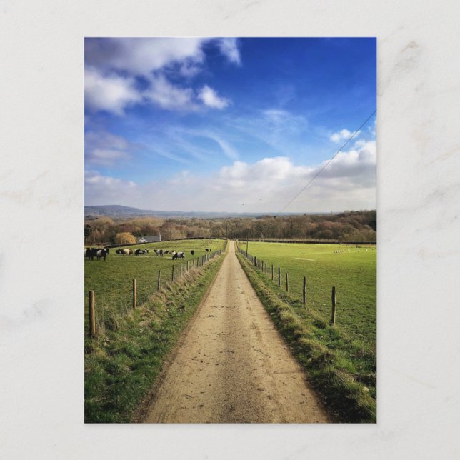 Farms | English Countryside Dirt Road Postcard (Front)