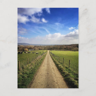 Farms   English Countryside Dirt Road Postcard