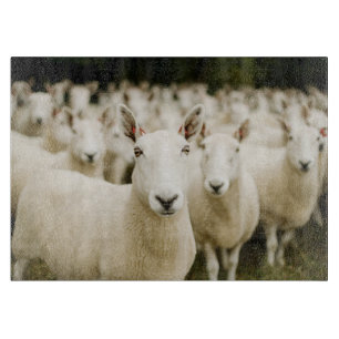 Farms Herd of Sheep Cutting Board