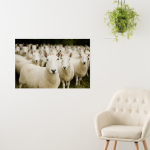 Farms Herd of Sheep Foam Board