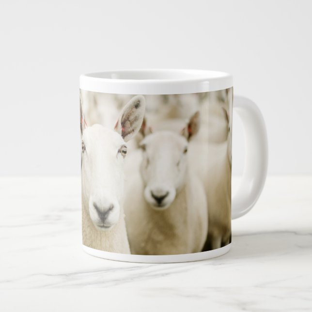 Farms | Herd of Sheep Giant Coffee Mug (Front Right)