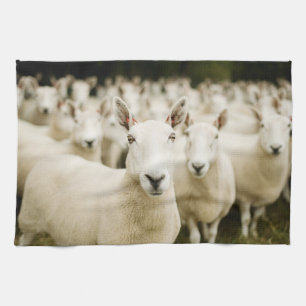 Farms   Herd of Sheep Kitchen Towel