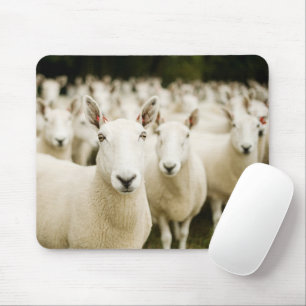 Farms Herd of Sheep Mouse Pad