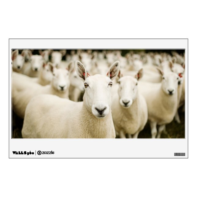 Farms | Herd of Sheep Wall Decal (Front)