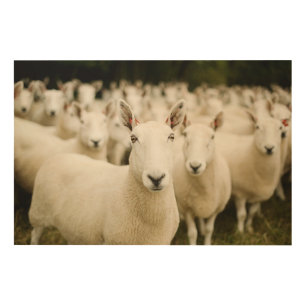 Farms Herd of Sheep Wood Wall Art