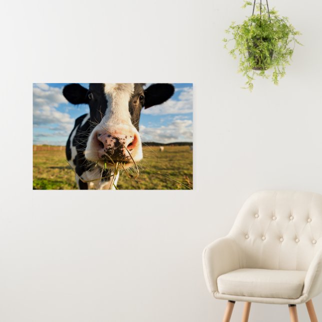 Farms | Holstein Cow Chewing Foam Board (In Situ (Wall))