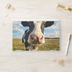 Farms Holstein Cow Chewing HP Laptop Skin