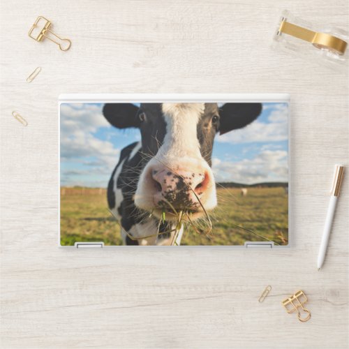 Farms  Holstein Cow Chewing HP Laptop Skin