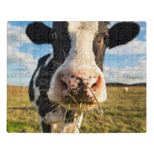 Farms Holstein Cow Chewing Jigsaw Puzzle