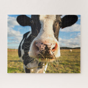 Farms Holstein Cow Chewing Jigsaw Puzzle
