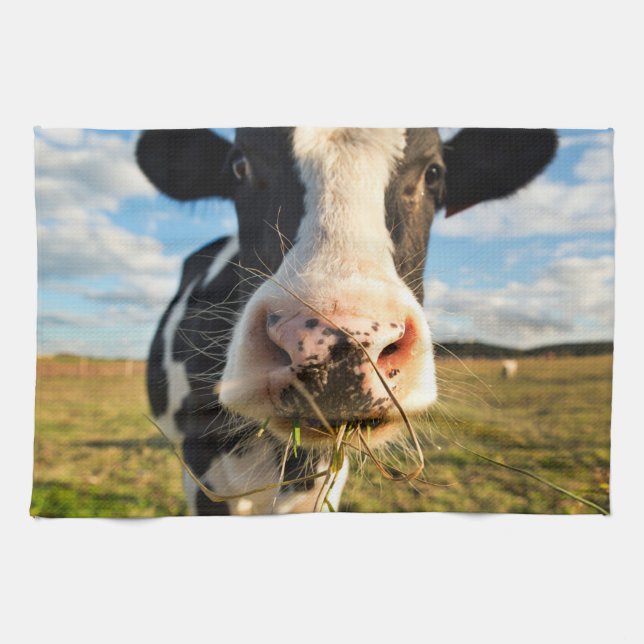 Farms | Holstein Cow Chewing Kitchen Towel (Horizontal)