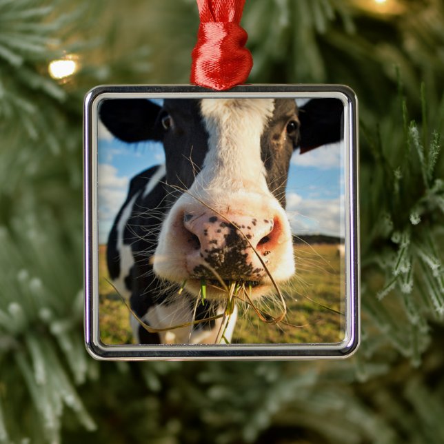 Farms | Holstein Cow Chewing Metal Ornament (Tree)