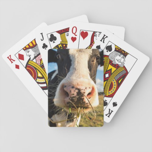 Farms  Holstein Cow Chewing Playing Cards