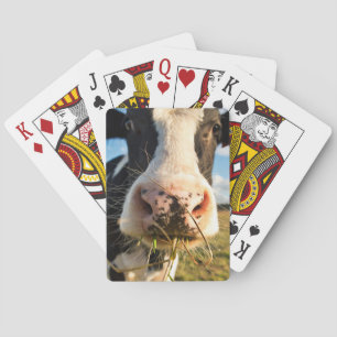 Farms Holstein Cow Chewing Poker Cards