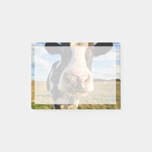 Farms  Holstein Cow Chewing Post_it Notes