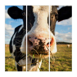 Farms Holstein Cow Chewing Triptych