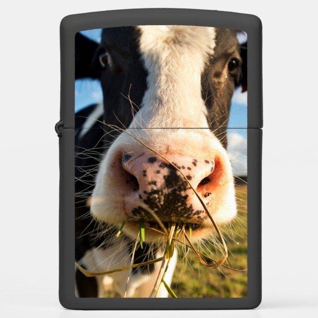 Farms | Holstein Cow Chewing Zippo Lighter (Front)