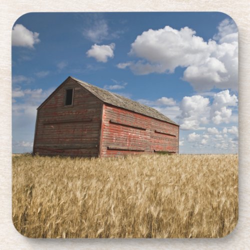 Farms  Old Red Barn in Wheat Field Beverage Coaster
