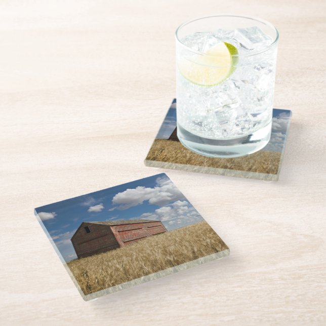 Farms | Old Red Barn in Wheat Field Glass Coaster (Angled)