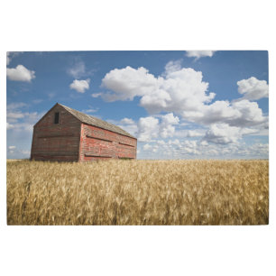 Farms   Old Red Barn in Wheat Field Metal Print