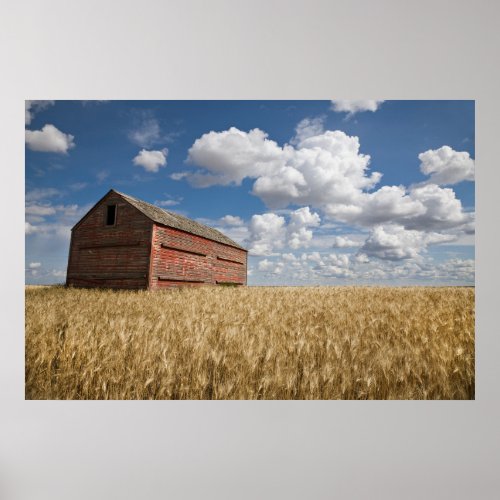 Farms  Old Red Barn in Wheat Field Poster