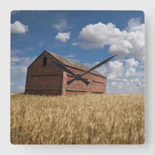 Farms   Old Red Barn in Wheat Field Square Wall Clock