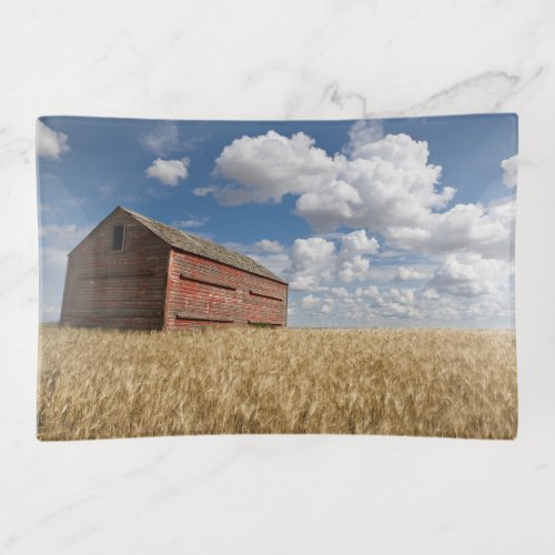 Farms  Old Red Barn in Wheat Field Trinket Tray