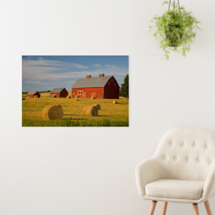 Farms   Red Barns Near Hay Bales Foam Board