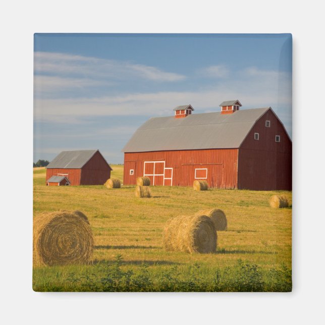 Farms | Red Barns Near Hay Bales Magnet (Front)