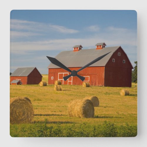 Farms  Red Barns Near Hay Bales Square Wall Clock