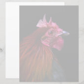 Farms | Rooster Head Shot (Front/Back)