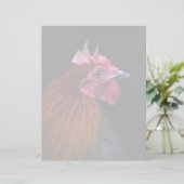 Farms | Rooster Head Shot (Standing Front)